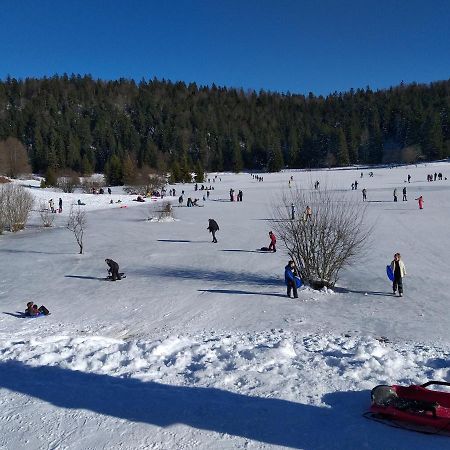 Le Manant Lägenhet Bellegarde-sur-Valserine Exteriör bild