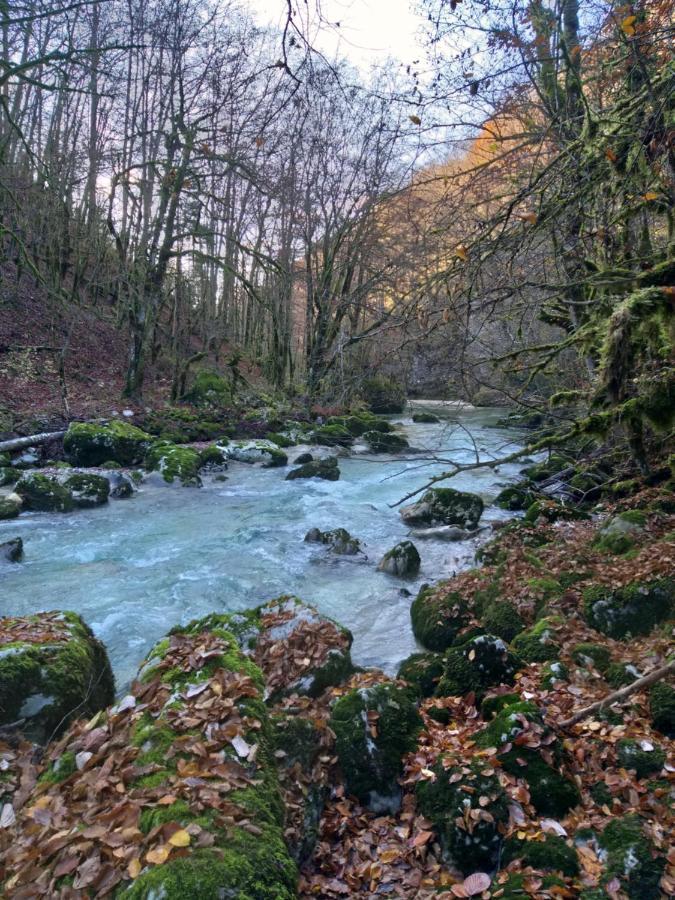 Le Manant Lägenhet Bellegarde-sur-Valserine Exteriör bild